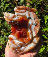 🧡 Sardonyx Drache in hoher Qualität 🧡 1.3kg