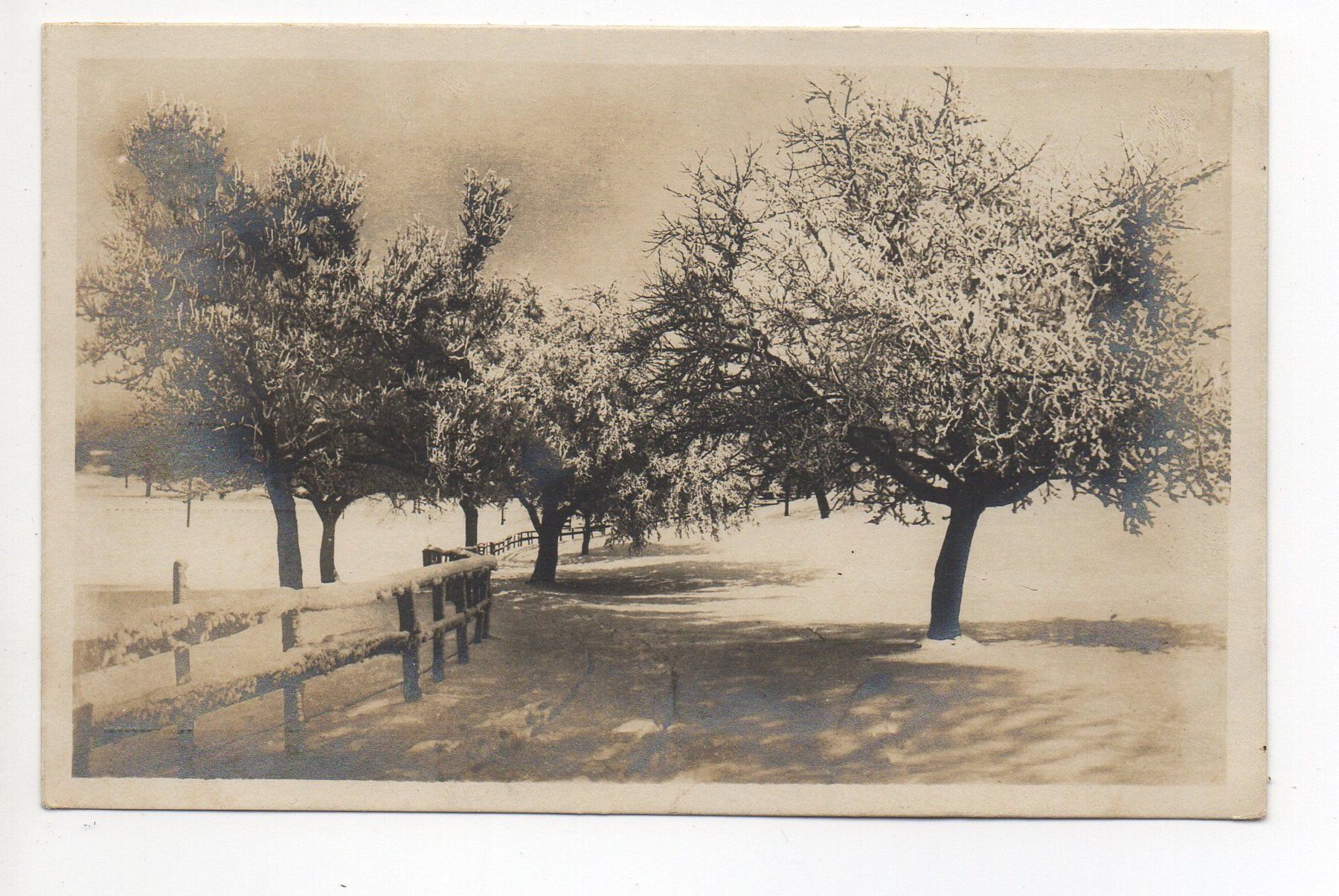 Cartoline postali: BAD RAGAZ 1922 – Usato da Jona venduto da philajona