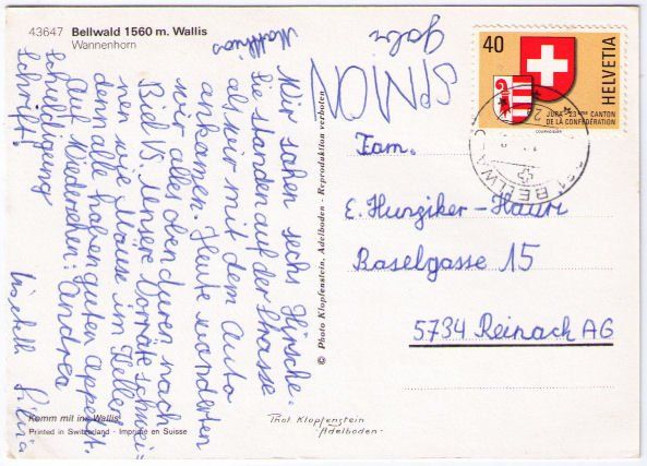 Cartes postales: Bellwald mit Wannenhorn – D'occasion à Binningen par Mountainrider 1