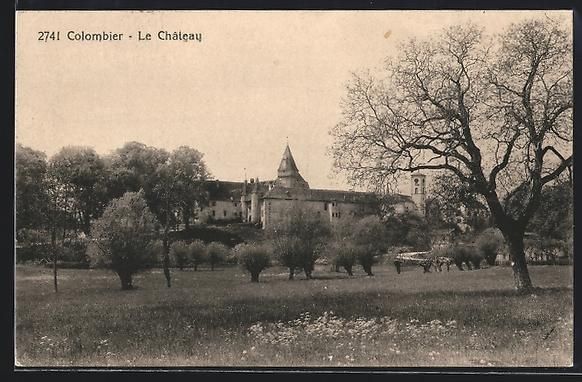 Cartoline postali: AK Colombier /NE, Le Chateau, 1915 – Usato da Berlin venduto da bartko-reher