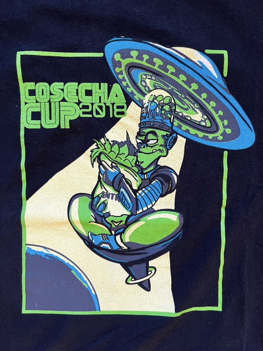 T-shirt: Gildan T-Shirt – Usato da Wigoltingen venduto da _vntg_ 1