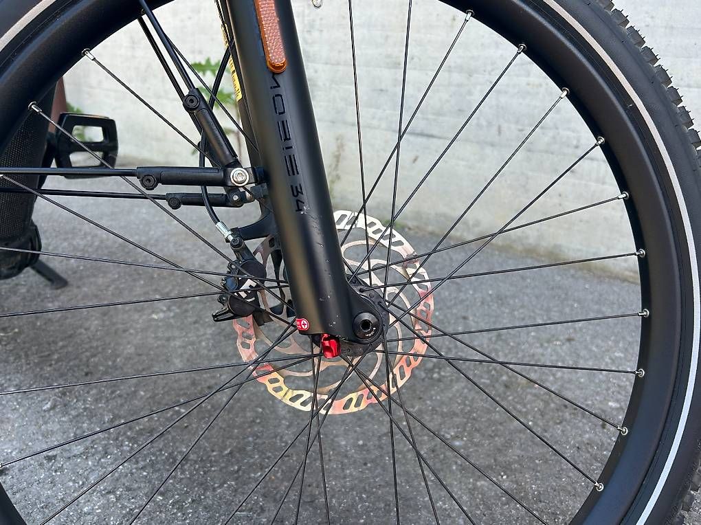 Riese & Müller Velos: Riese & Müller Charger 4 HS E-bike 45kmh – Gebraucht aus Wattenwil von Lukbu 4