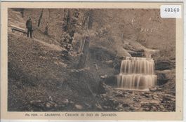 Lausanne -Cascade du bois de Sauvablin - animee