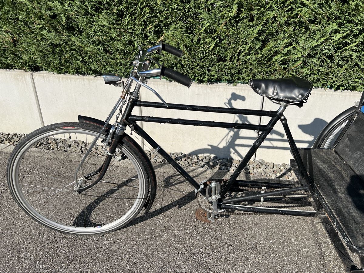 Biciclette: Rikscha Phoenix mit Verdeck zum abnehmen  – Usato da Härkingen venduto da Mada90 2