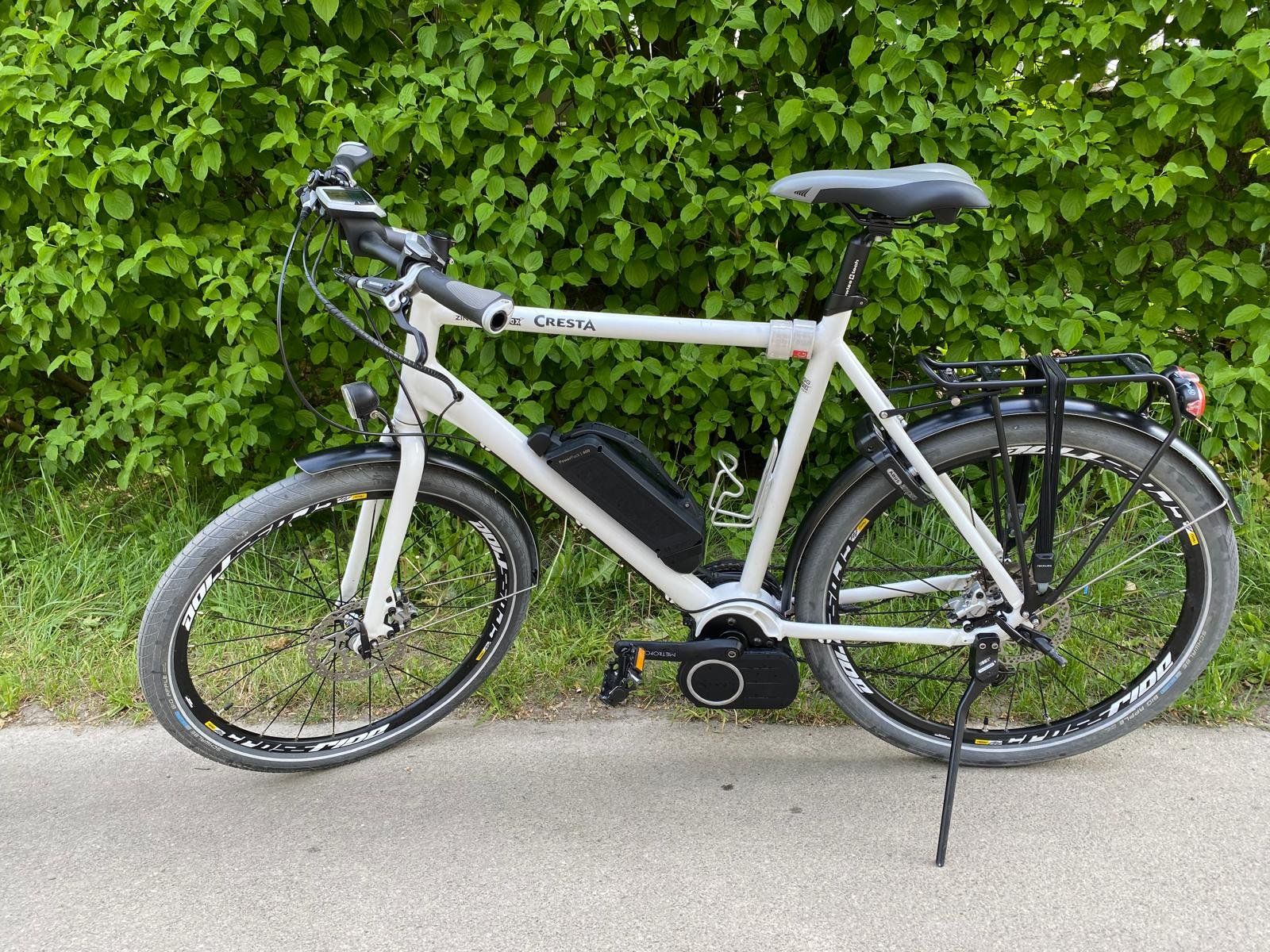 Cresta Biciclette: Cresta E-Drive E-Bike mit Hundeanhänger | Rahmengrösse 58 – Usato da Brugg AG venduto da pippi0815 1
