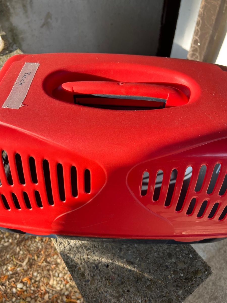 Gabbie, trasporto & Sicurezza: Katzenstreu und Katzenträger – Usato da Aristau venduto da pep_bt2v 5