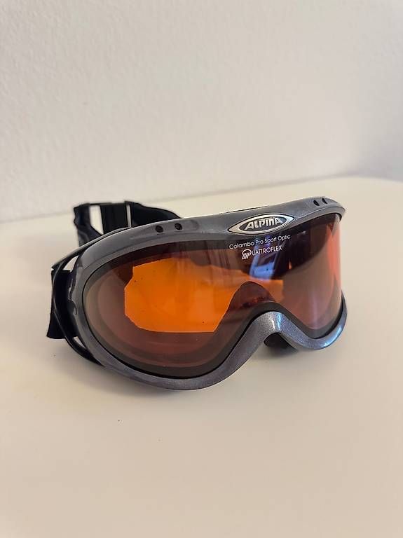 Occhiali & Lenti: ALPINA Skibrille – Usato da Zürich venduto da martinfel
