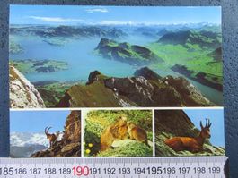 PILATUS-KULM UND SEINE WILDTIERE LU AK