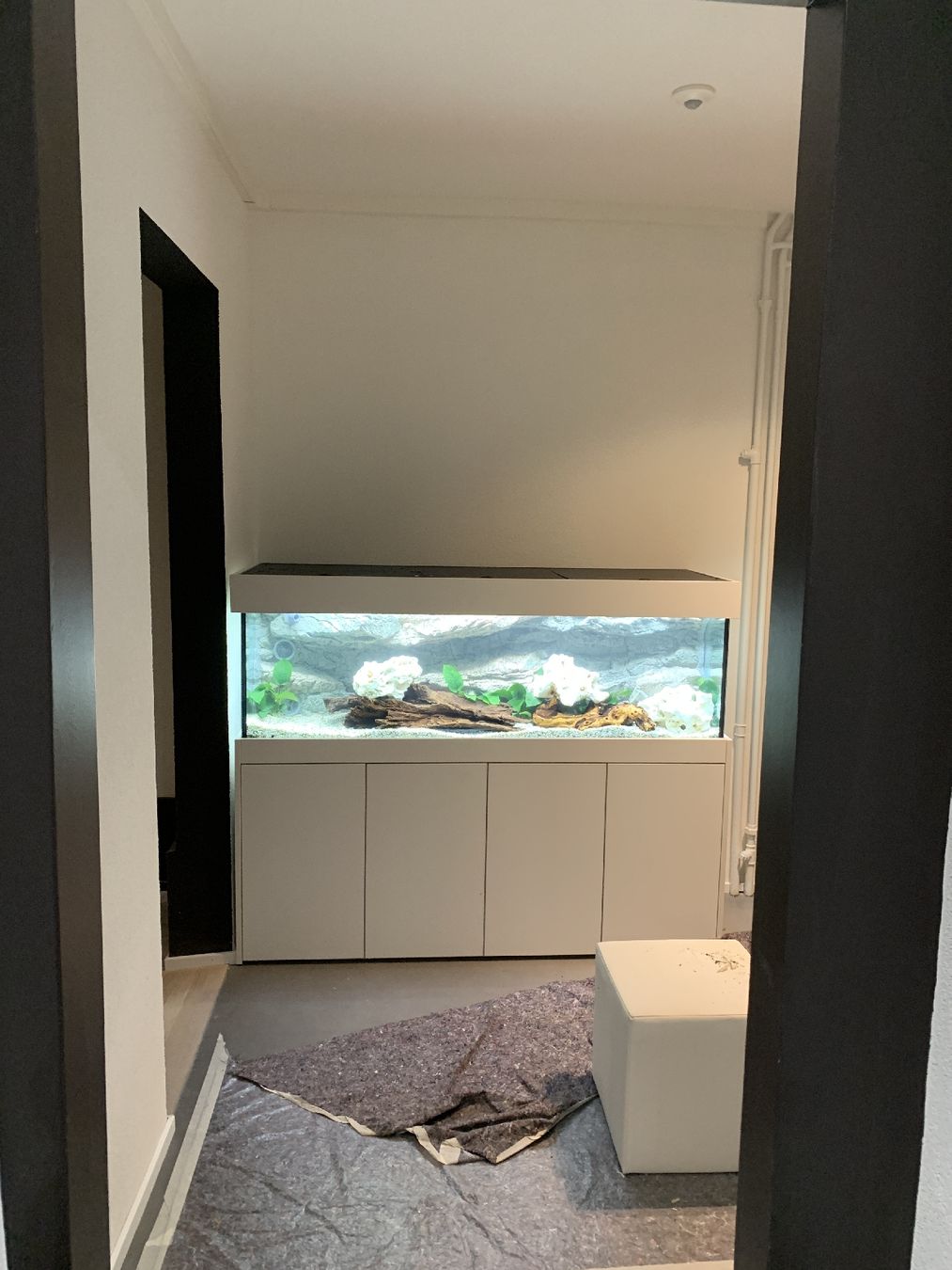 Aquarium: aquarium 400lt – Gebraucht aus La Chaux-de-Fonds von Garfieldge 1