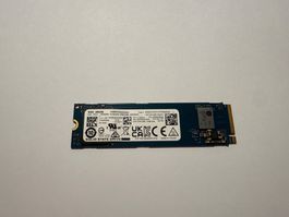 KIOXIA BG6 256GB M.2 2280 NVMe SSD PCIe 4.0 – Lenovo