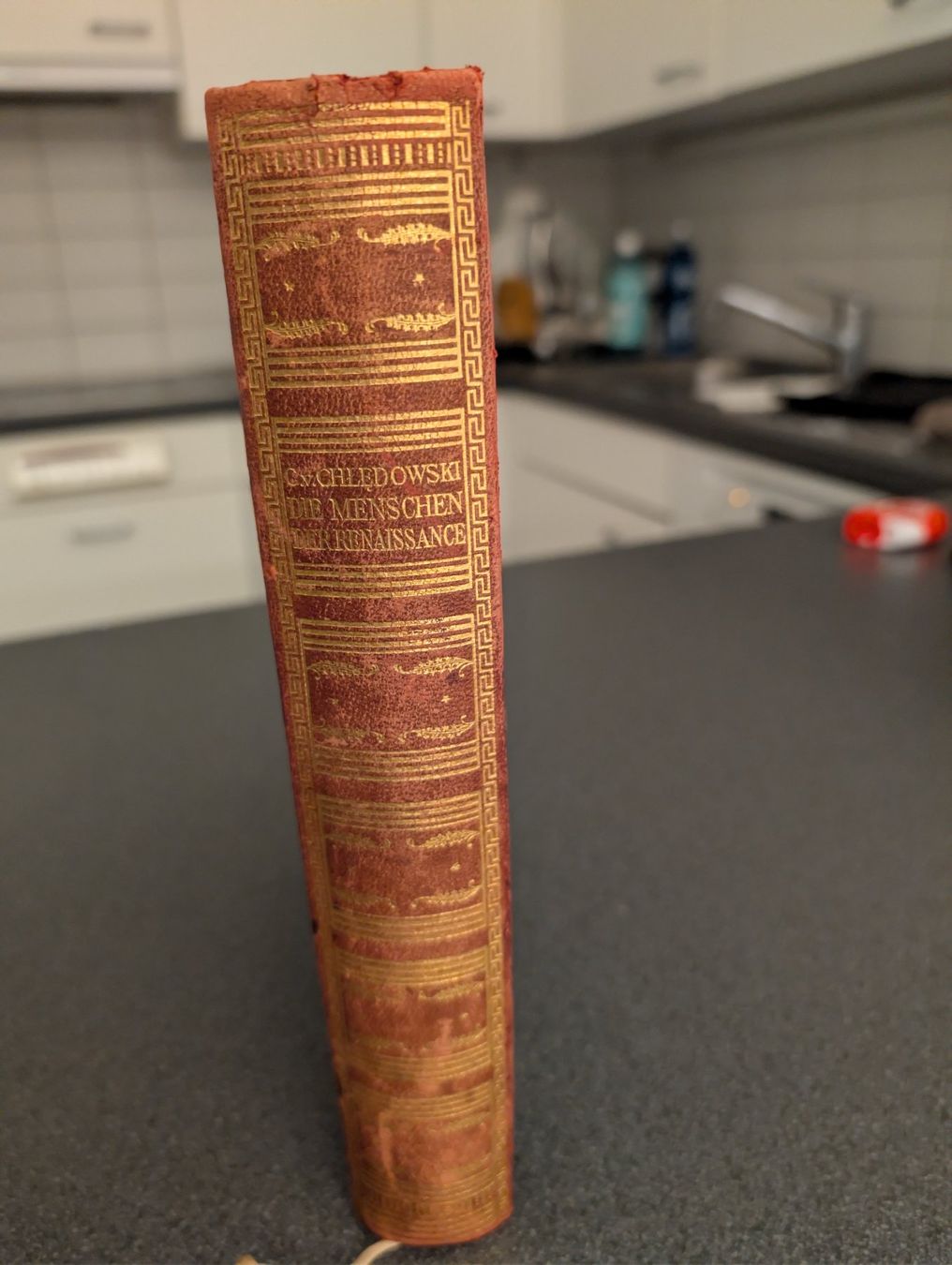 Libri: DIE MENSCHEN DER RENAISSANCE ROM – Usato da zürich venduto da gabab