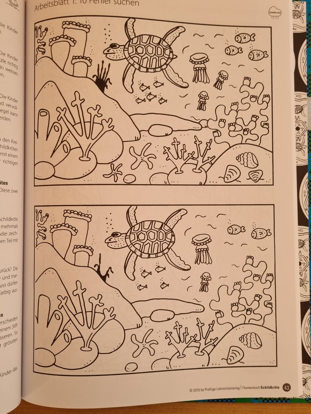 Libri: Prokiga Themenbuch "Schildkröte" NEU! – Nuovo (secondo la descrizione) da Weite venduto da Nur63 4