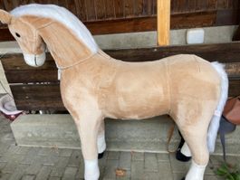 Reitpferd für Kinder