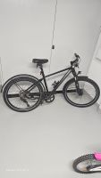 Krystal Black Velo City Fahrrad