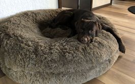 ORIGINAL Frau Frauchen HUNDEBETT WOLKE®  - TOP