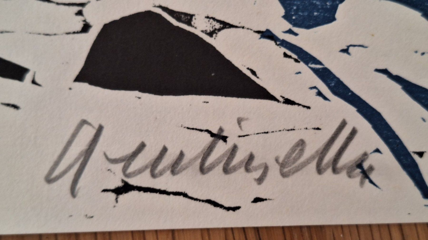 Xilografie: Holzschnitt "Forum Alpinum  GENTINETTA – Usato da Dornach venduto da majo8689 6