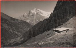 GRINDELWALD Speterenalp u. Wetterhorn - Photo W. Gabi Wengen