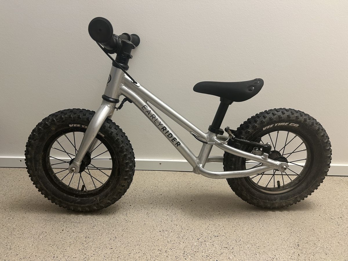 Early Rider Fahrzeuge für Kinder: Early Rider Seeker 12 – Gebraucht aus Basel von obs_r9gh 1