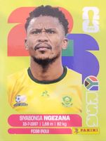 Panini FIFA World Cup RSA 8