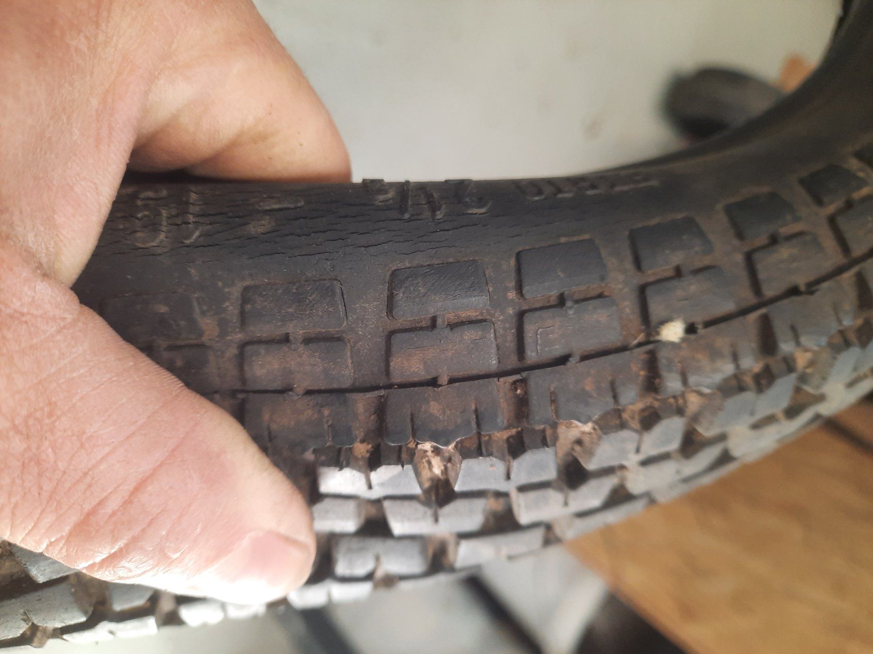 Parti ricambio per ciclomotori: 19" Mofapneu – Usato da Ermensee venduto da volvo-Turbo 2