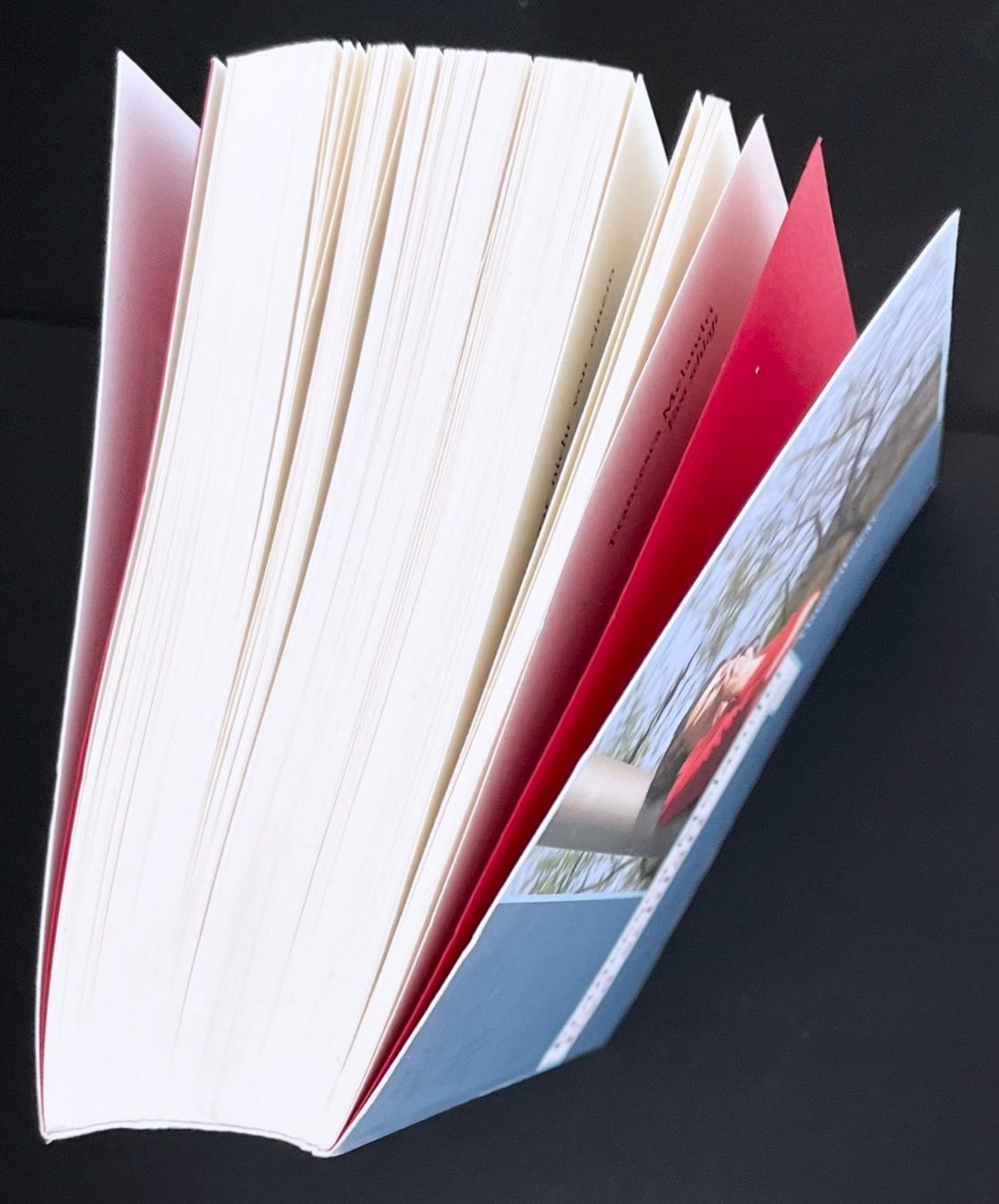 Libri: Francesca Melandri - Eva schläft – Nuovo (secondo la descrizione) da Bern venduto da frank.j.webb 4