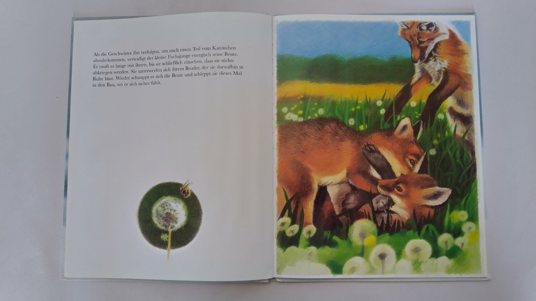 Bücher: Fuchs - Bilderbuch / Fuchsbeute / Ab Fr. 8.- – Gebraucht aus Bellach von JingleJerry 4