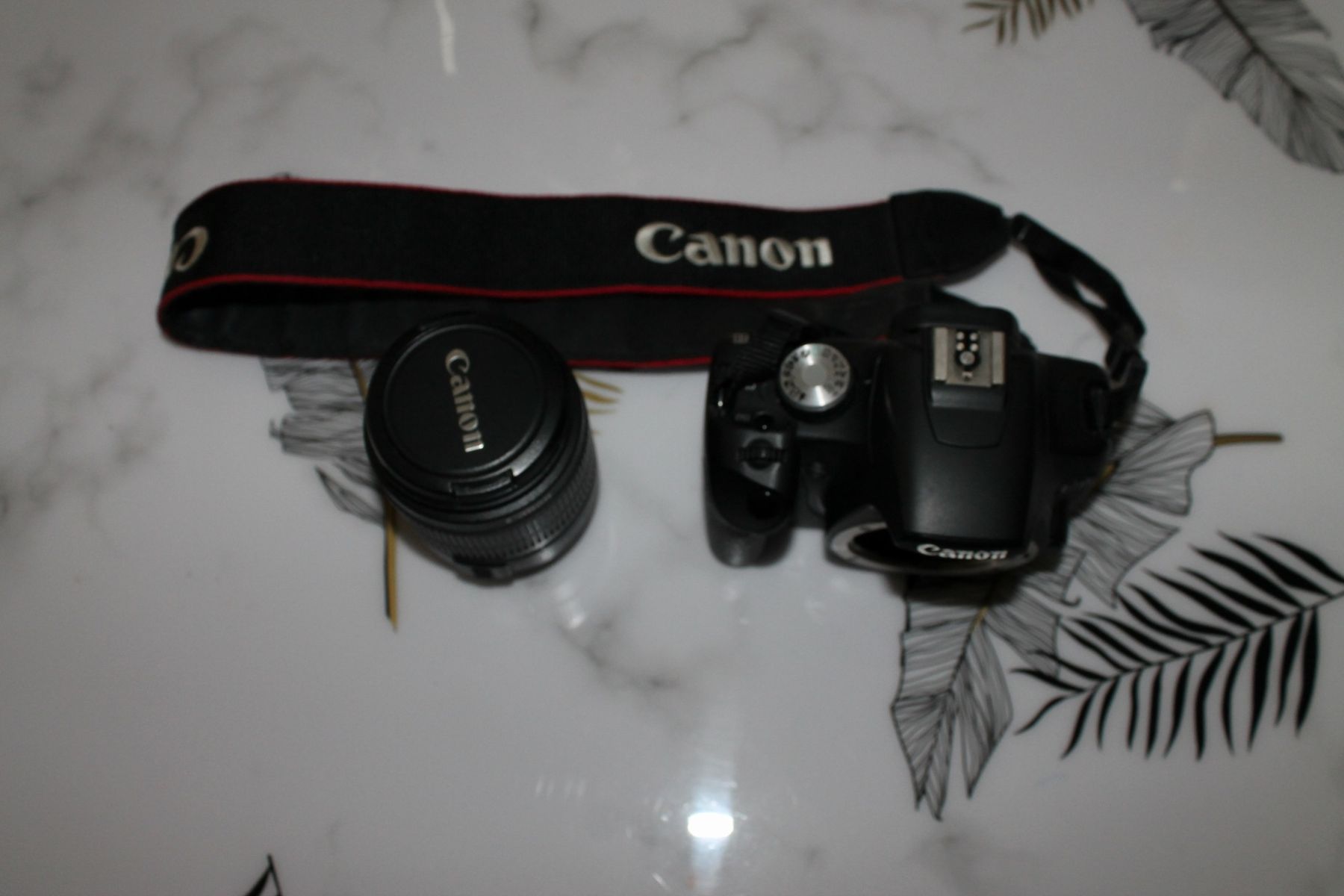 Canon Kamera: Canon 500D + Objektiv 18-55mm – Gebraucht aus Bellach von photo.zaccaro 7