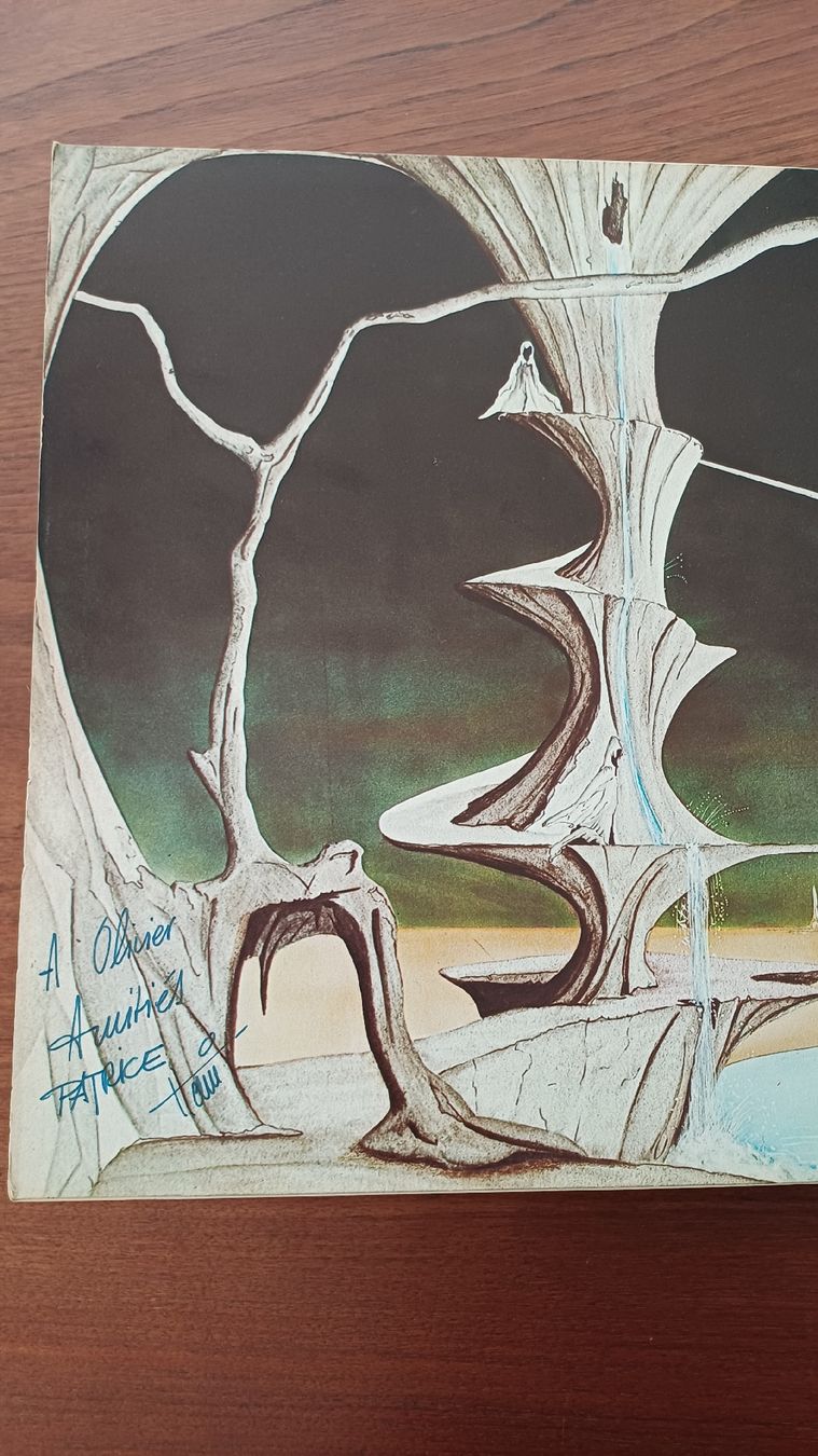 Dischi in vinile: LP Kashmir Je suis  – Usato da Genève venduto da njia 2