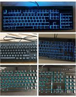 Gamer Tastatur Acer Predator KBCY21