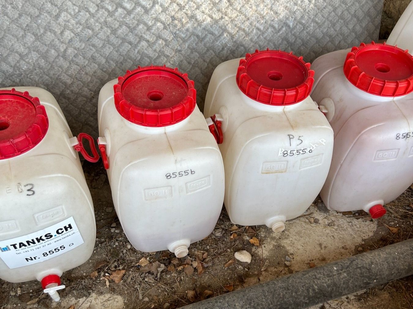 Accessori: Getränkefass 60 Liter – Usato da Appenzell venduto da OcclineGmbH 5