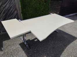 Professioneller Bürotisch