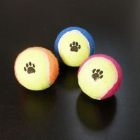 Hundespielzeug Hund Spielzeug Ball, 12 bunte Bälle im Set