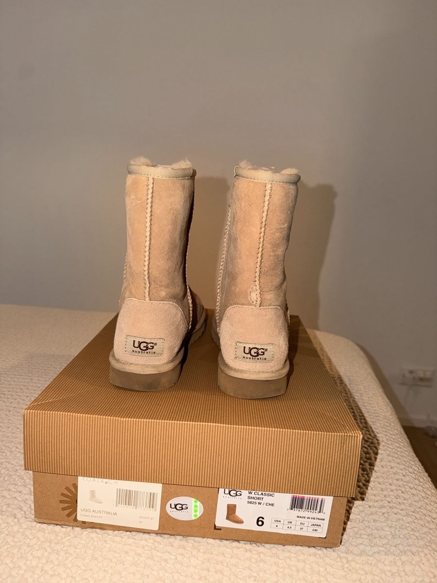 Ugg Scarpe da donna: UGG Australia Boots – Usato da Zürich venduto da stefaniecosta1 2