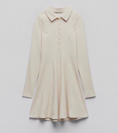 Zara dress