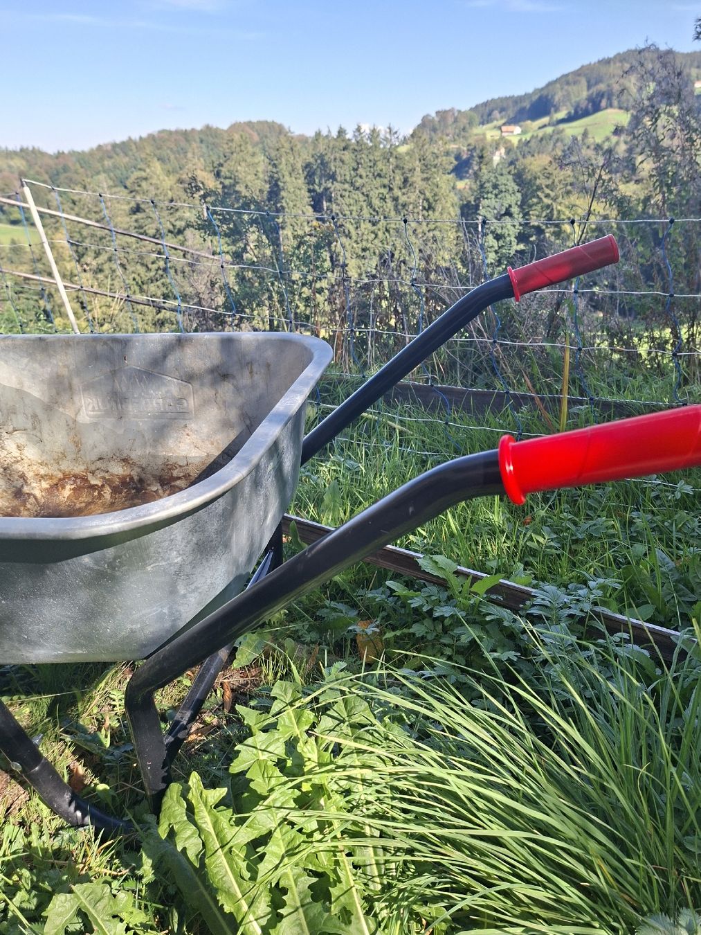 Carriole: Schubkarre – Usato da Wolfhalden venduto da goovy 2