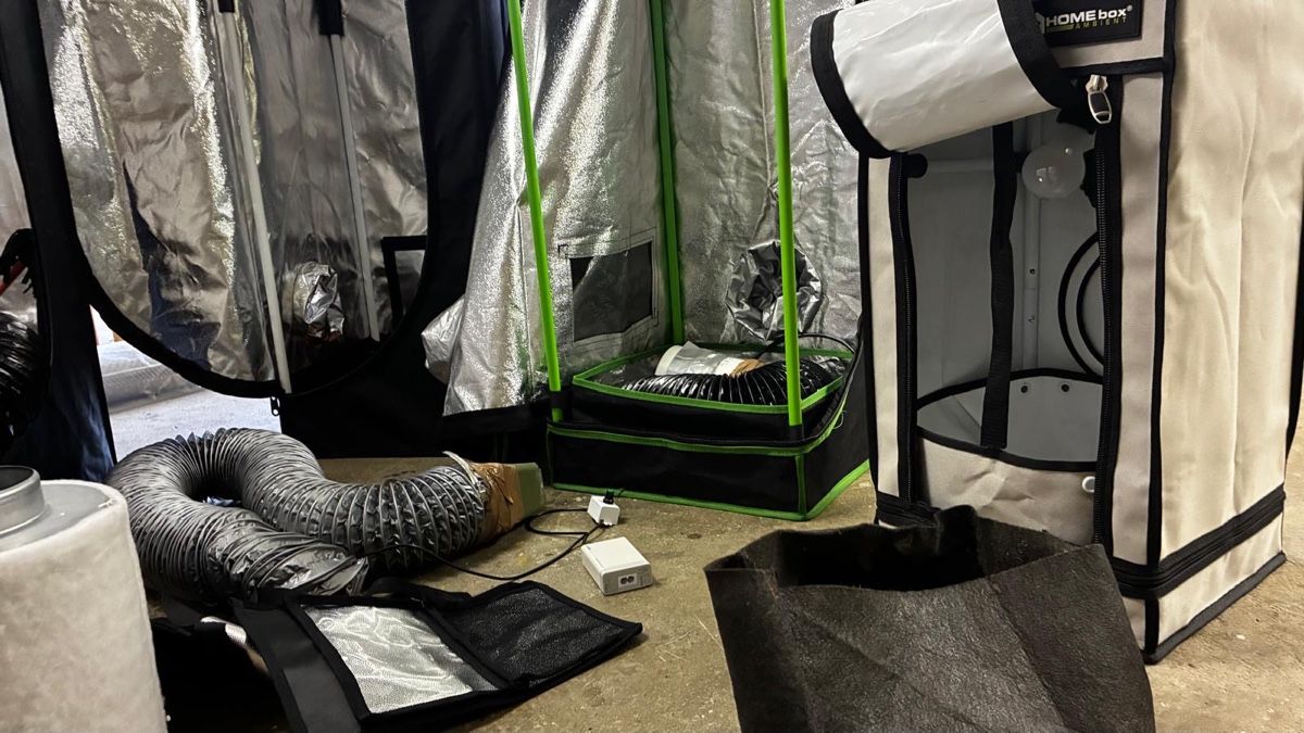 Growbox Sonstiges: Growbox Set Probox Basic und Homebox mit Zubehör gebraucht – Gebraucht aus Sirnach von Iemiroc 1