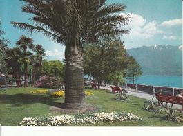 Locarno 1966