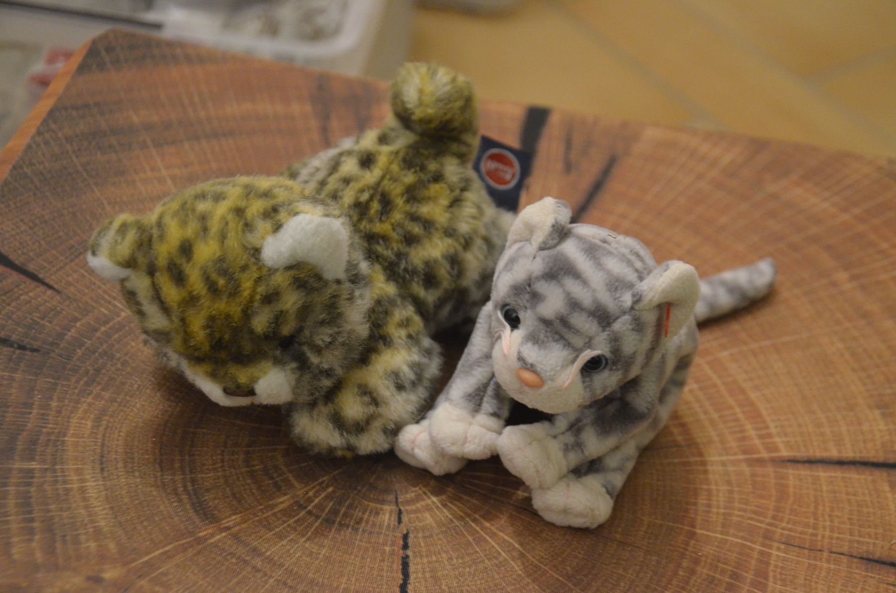 Giocattoli: PELUCHE 2 KATZE – Usato da Chiasso venduto da Dolly015