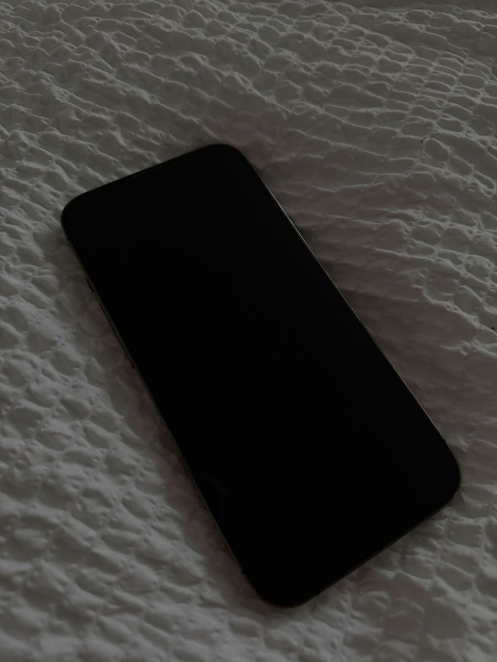Apple Telefoni cellulari / Smartphones: iPhone 13 Pro 256GB – Usato da Brugg AG venduto da Kirusou 3