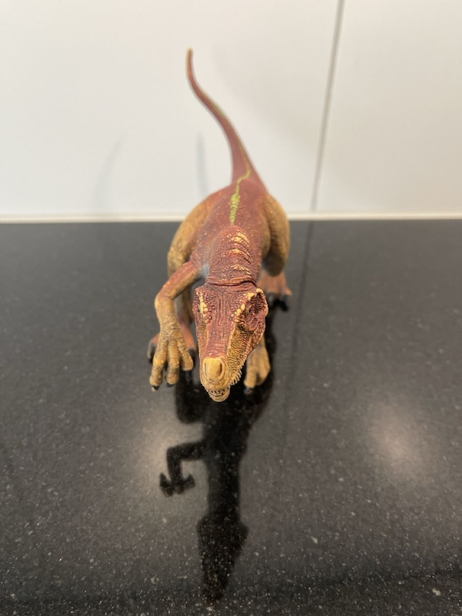 Schleich Figuren: Schleich Dinosaurier  – Gebraucht aus Oberrieden von Boccia1981 1