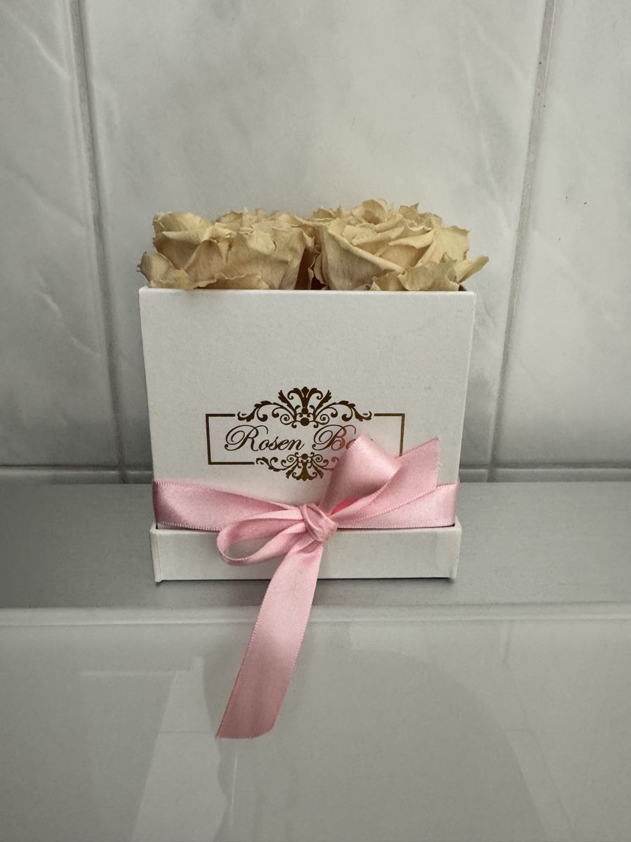 Plantes & graines: Rosenbox mit echten rosa Rosen – Neuf (Voir description) à Bremgarten AG par val_ch 4