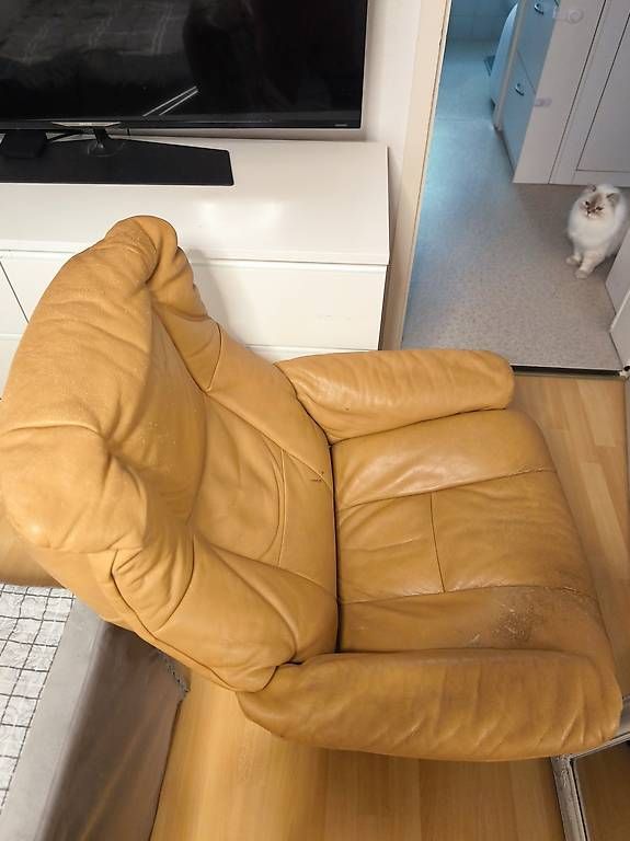 Sessel: Sessel  – Gebraucht aus Windisch von tiru90