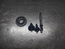 Ingranaggi per variatore piaggio, 13/1 originali italiani