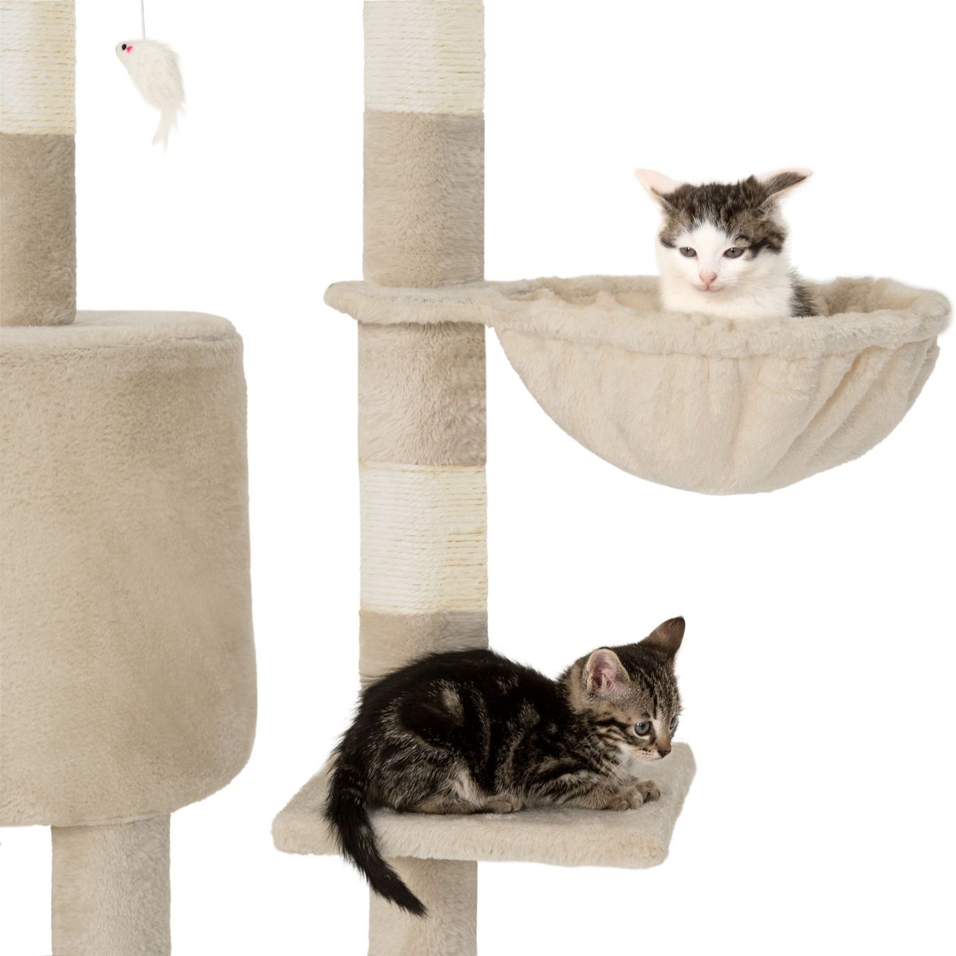 Katzenbaum - Kratzbaum: Kratzbaum Dominik 144cm, beige - Gratis Versand – Neu und originalverpackt aus Kleinwangen von Maluwa_GmbH 2