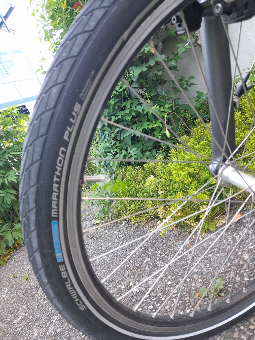 Flyer Biciclette: Elektroflyervelo – Difettoso da Oberburg venduto da K_4 2