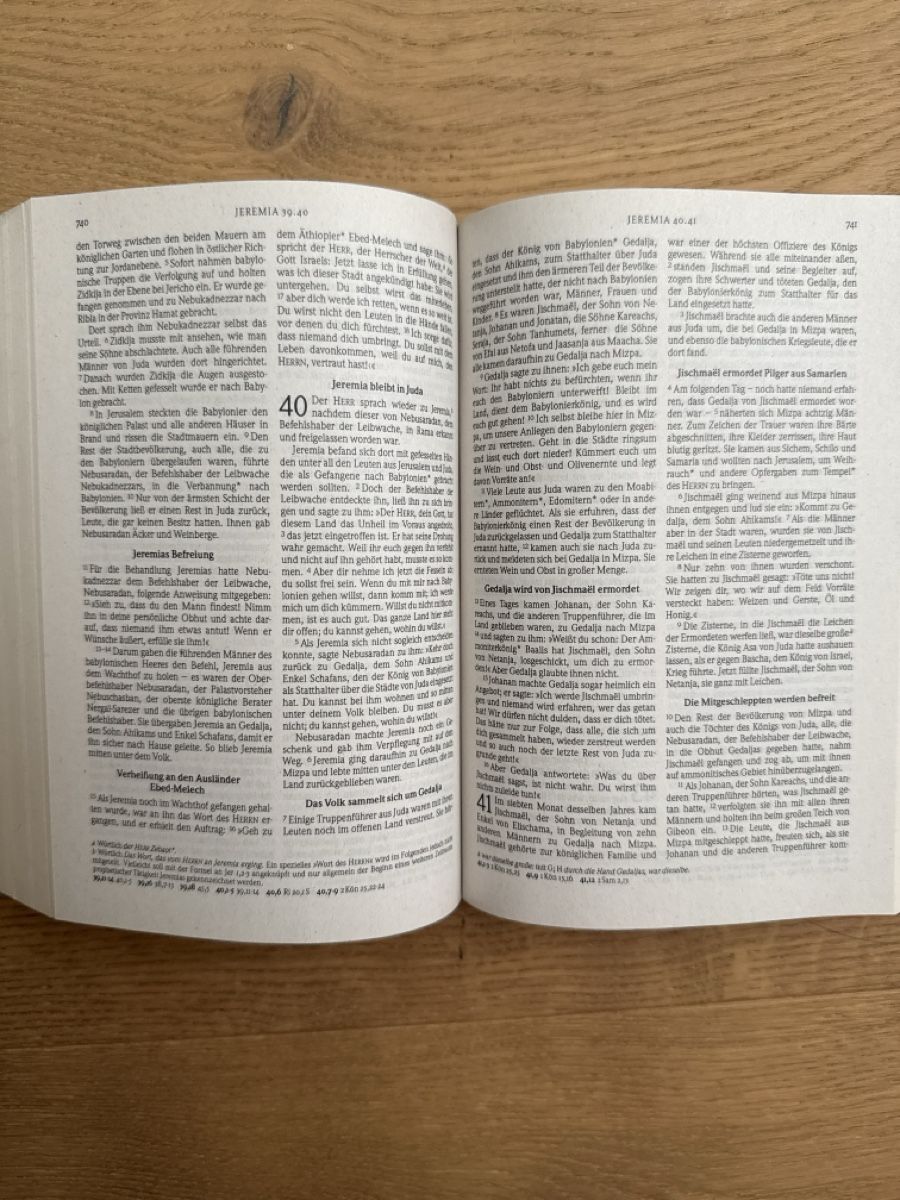 Libri: Bibel – Usato da Schiers venduto da lyn_w7pp 2
