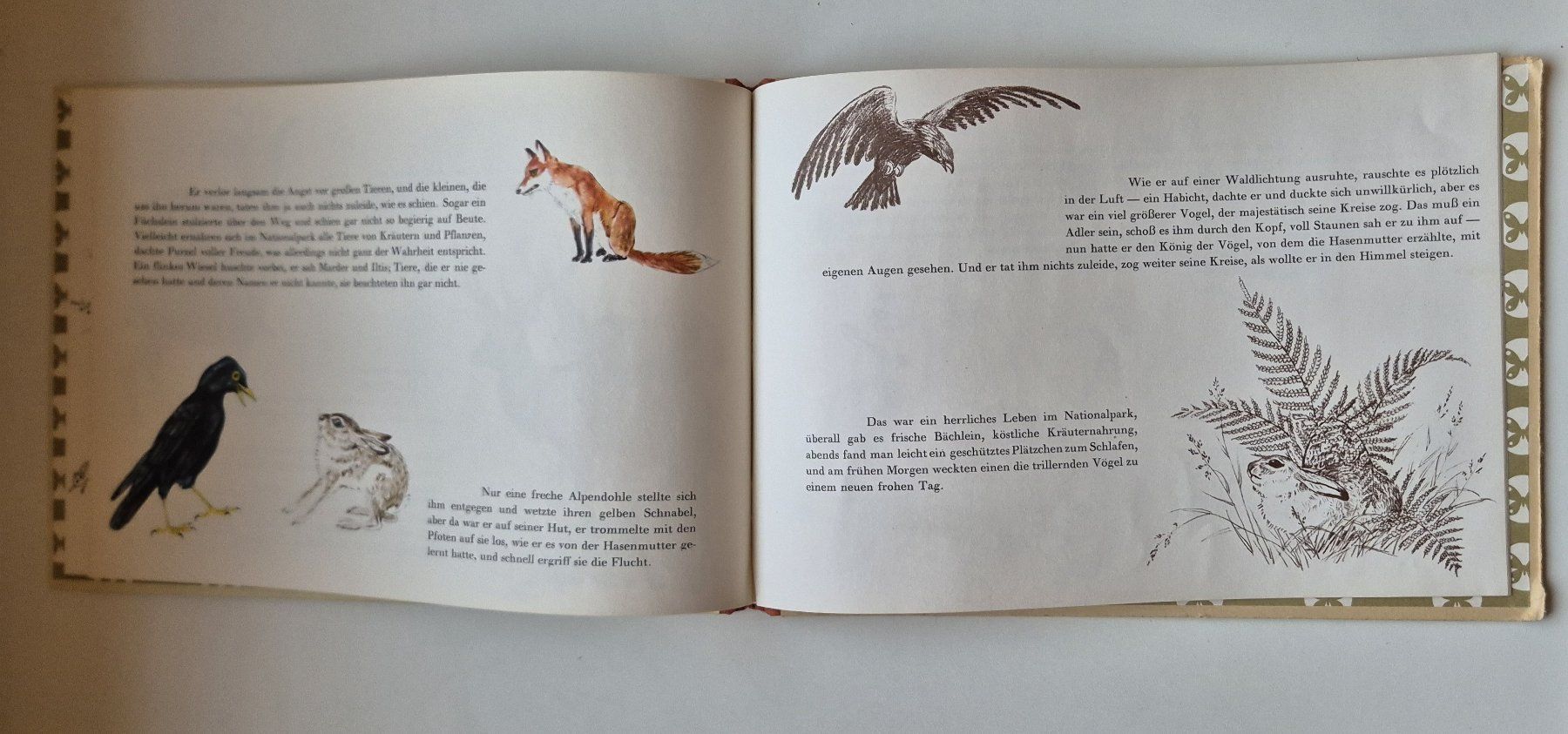 Libri: PURZEL - Eine Hasengeschichte  🐇  1953 – Usato da Niederweningen venduto da Obson 2