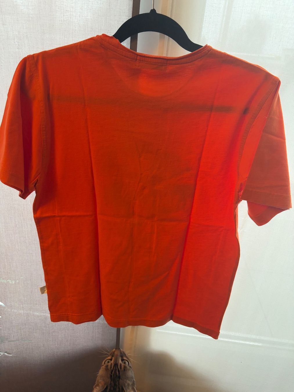T-Shirts: T-shirt orange "Save the Earth" animaux – Gebraucht aus Lausanne von milou201619 2
