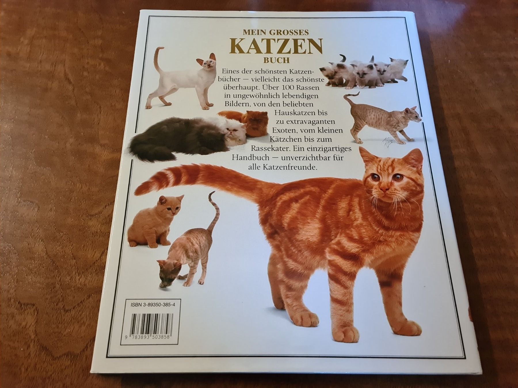 Libri: MEIN GROSSES KATZEN BUCH – Usato da Erstfeld venduto da Mario_boe0 1