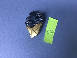 Goldplakette 1988 d Wundergugge